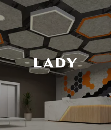 lady